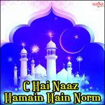 Dulha Bana Hai Khwaja Mp3 Song Download By Chand Qadri Afzal Chishti Wynk dulha bana hai khwaja mp3 song download