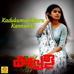 Cherathukal Mp3 Song Download By Sithara Krishnakumar Kumbalangi Nights Wynk Free cherathukal piano tutorial notes midi kumbalangi nights malayalam song mp3. cherathukal mp3 song download by