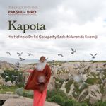 Download Sri Ganapathy Sachchidananda Swamiji New Songs Online Play Sri Ganapathy Sachchidananda Swamiji Mp3 Free Wynk sri ganapathy sachchidananda swamiji