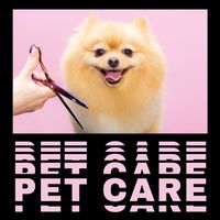 Instrumental Music for Your Animal MP3 Song Download | Pet Care (Music for  Veterinary Clinic, Spa for Animals, Home Spa & Relax) @ WynkMusic