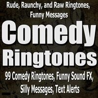 Put It On Silent, Ringtone MP3 Song Download | Rude, Raunchy, and Raw  Ringtones, Funny Messages @ WynkMusic