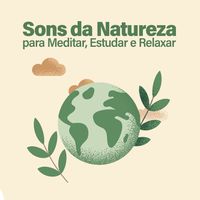 Naturaleza FX: álbuns, músicas, playlists