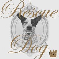 Download Train's New Song Rescue Dog, Ways to Give