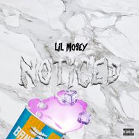 Lil Mosey - Live This Wild (Lyrics)