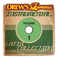 coger un resfriado explosión agujero La Bamba Instrumental MP3 Song Download | Drew's Famous Instrumental Latin  Collection, Vol. 1 @ WynkMusic