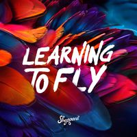 Learn To Fly - 4 U Id Die MP3 Download & Lyrics