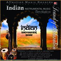 Indian Instrumental Music Meditation - Play & Download All MP3 Songs  @WynkMusic