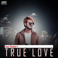 True Love Story Song Download: True Love Story MP3 Song Online Free on