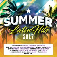 Piel Morena MP3 Song Download | Summer Latin Hits 2017 @ WynkMusic