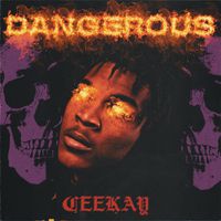 Dangerous: albums, songs, playlists