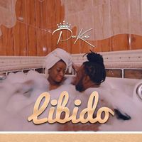 Libido Play & Download All MP3 Songs WynkMusic