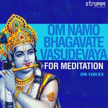 Om Namo Bhagavate Vasudevaya - for Meditation