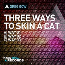 Three Ways To Skin A Cat Way 2