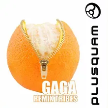 Simcity Gaga Remix