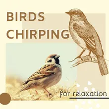 Birds Chirping for Relaxation