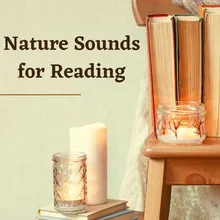 Nature Sounds for Reading