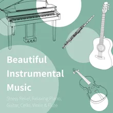 Beautiful Instrumental Music