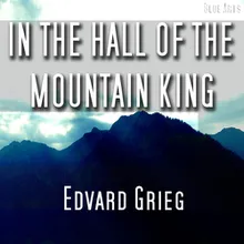 In the Hall of the Mountain King [ Grieg ]