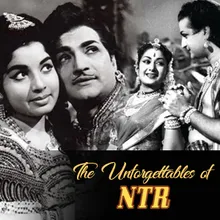 The Unforgettables of NTR