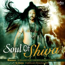 Soul Of Shiva