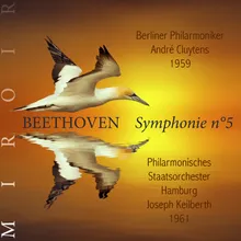 Symphonie No. 5, Op. 67: III. Allegro
