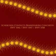 Brandenburg Concertos No. 1 in F Major, BWV 1046: II. Adagio