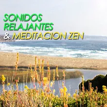 Sonidos Relajantes Para Meditar Relaxing