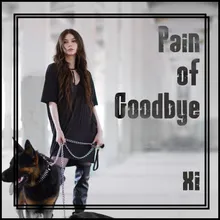 Pain of Goodbye