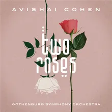 Working with Elchin Shirinov Comment by Avishai Cohen