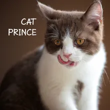 Cat prince fx 2