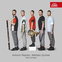 Wind Quintet in E Minor, Op. 88 No. 1: No. 3, Menuetto. Allegro vivo