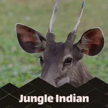 Jungle Indian