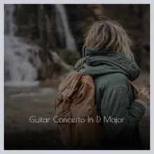 Guitar Concerto In D Major