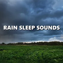 Vivid Night Rain Sounds