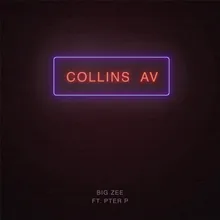 Collins Av. (feat. Pter P)