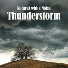 Natural White Noise: Thunderstorm, Pt. 24