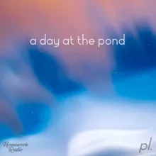 A Day At The Pond