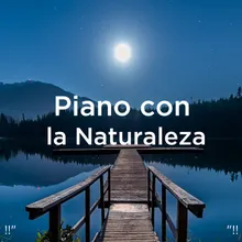 Sonido De La Naturaleza Del Piano