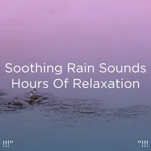 Sonidos De Lluvia Para La Meditación