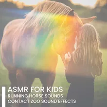 ASMR Horses in the Stable