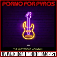 Porno For Pyros Live