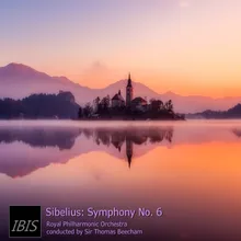 Sibelius: Symphony No. 6 in D Minor, Op. 104: II. Allegretto moderato