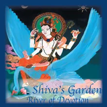 Om Shiva Shankara