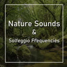 Forest Sounds and Solfeggio 741 Hz