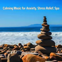 Calm Music for Stress Relief