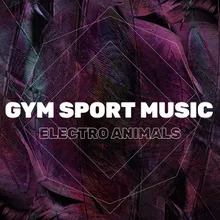 Sport Energetic Music