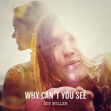 Why Can't You See