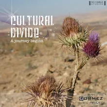Cultural Divide 2010