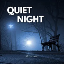 Quiet Night 