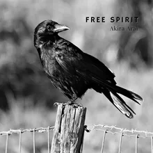 Free Spirit 